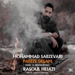 دانلود آهنگ محمد سبزواری به نام پائیز دلم دانلود آهنگ محمد سبزواری به نام پائیز دلم