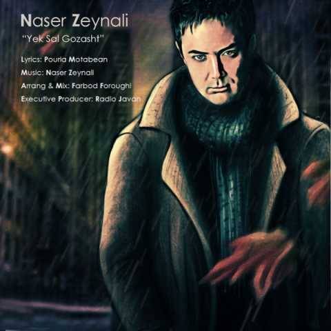 دانلود آهنگ جدید ناصر زینعلی یک سال گذشت