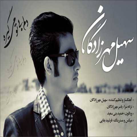 دانلود آهنگ جدید سهیل مهرزادگان دلم بی تو میگیره