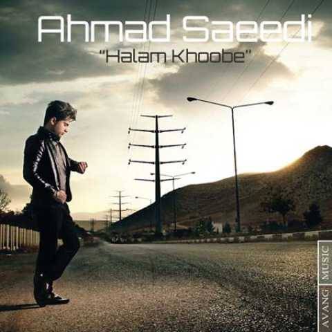 دانلود آهنگ جدید احمد سعیدی حالم خوبه