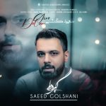 دانلود آهنگ سعید گلشنی به نام گیره دلم