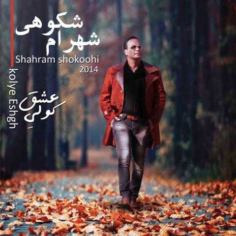 دانلود آهنگ جدید شهرام شکوهی دونه دونه