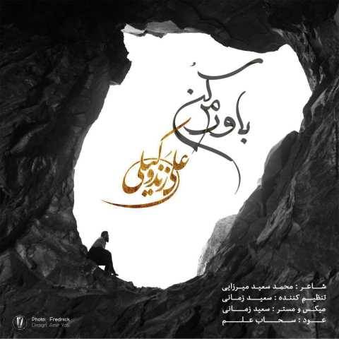 دانلود آهنگ جدید علی زند وکیلی باورم کن