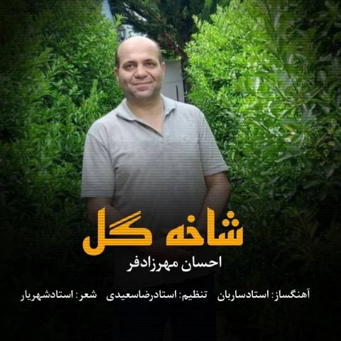 دانلود آهنگ جدید احسان مهرزادفر شاخه گل