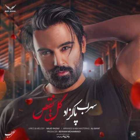 دانلود آهنگ جدید سهراب پاکزاد گل بی نقص