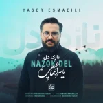 دانلود آهنگ یاسر اسماعیلی به نام نازک دل دانلود آهنگ یاسر اسماعیلی به نام نازک دل