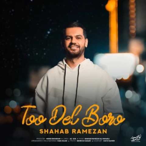 دانلود آهنگ جدید شهاب رمضان تو دل برو