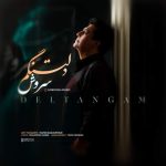 دانلود آهنگ سروش به نام دلتنگم