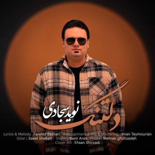 دانلود آهنگ جدید نوید سجادی دلتنگ